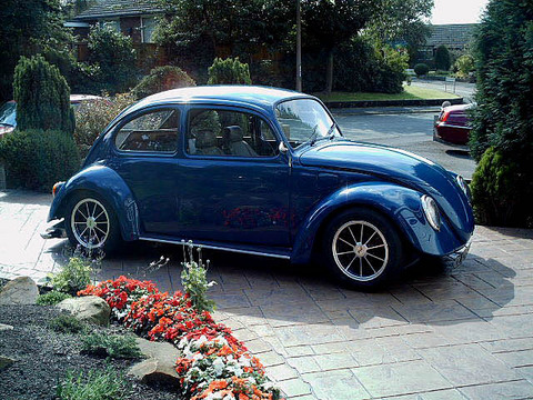 blue side1.jpg